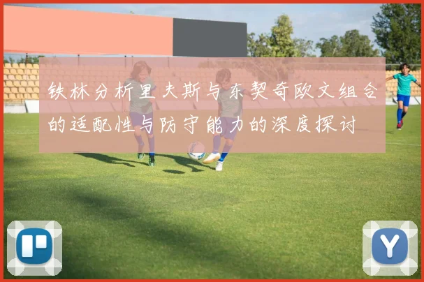 铁林分析里夫斯与东契奇欧文组合的适配性与防守能力的深度探讨