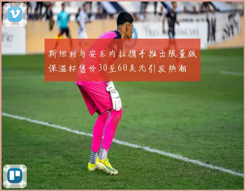 斯坦利与安东内拉携手推出限量版保温杯售价30至60美元引发热潮